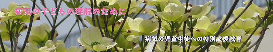 rikai